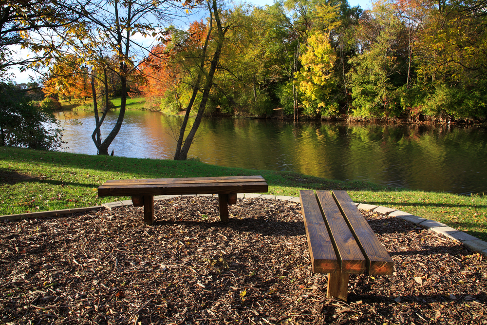 Share article Experience the Best of Indian Lake Choice Properties